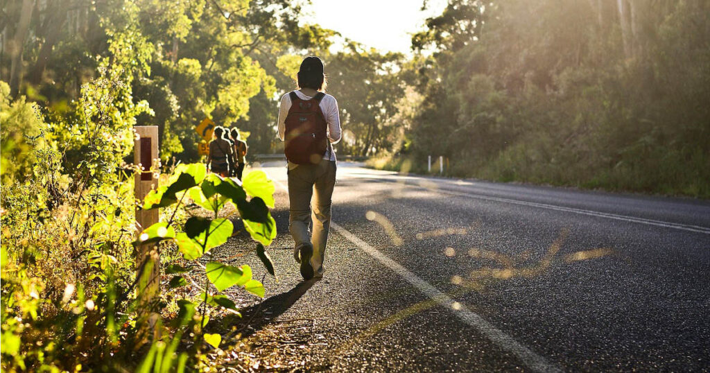 Type 1 Diabetes Control