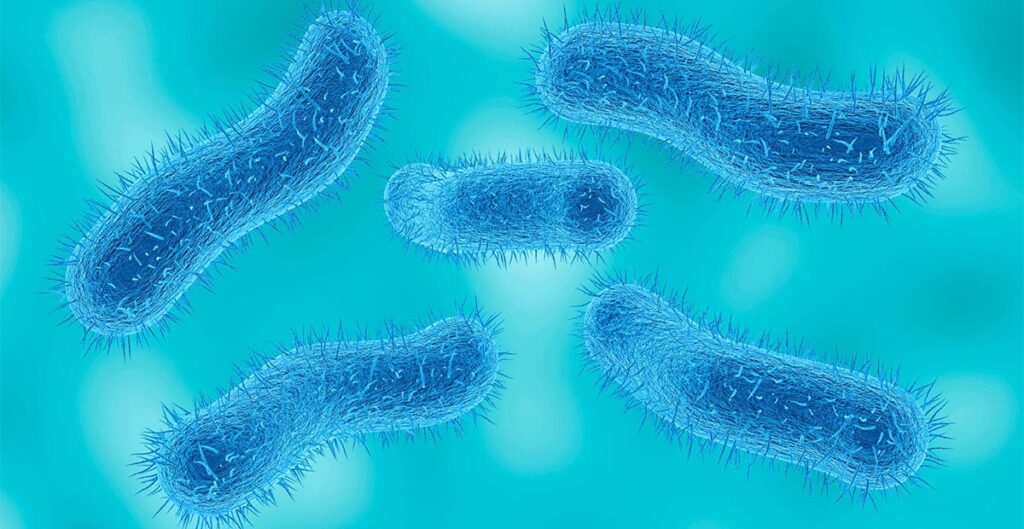 Drug-Resistant Shigella